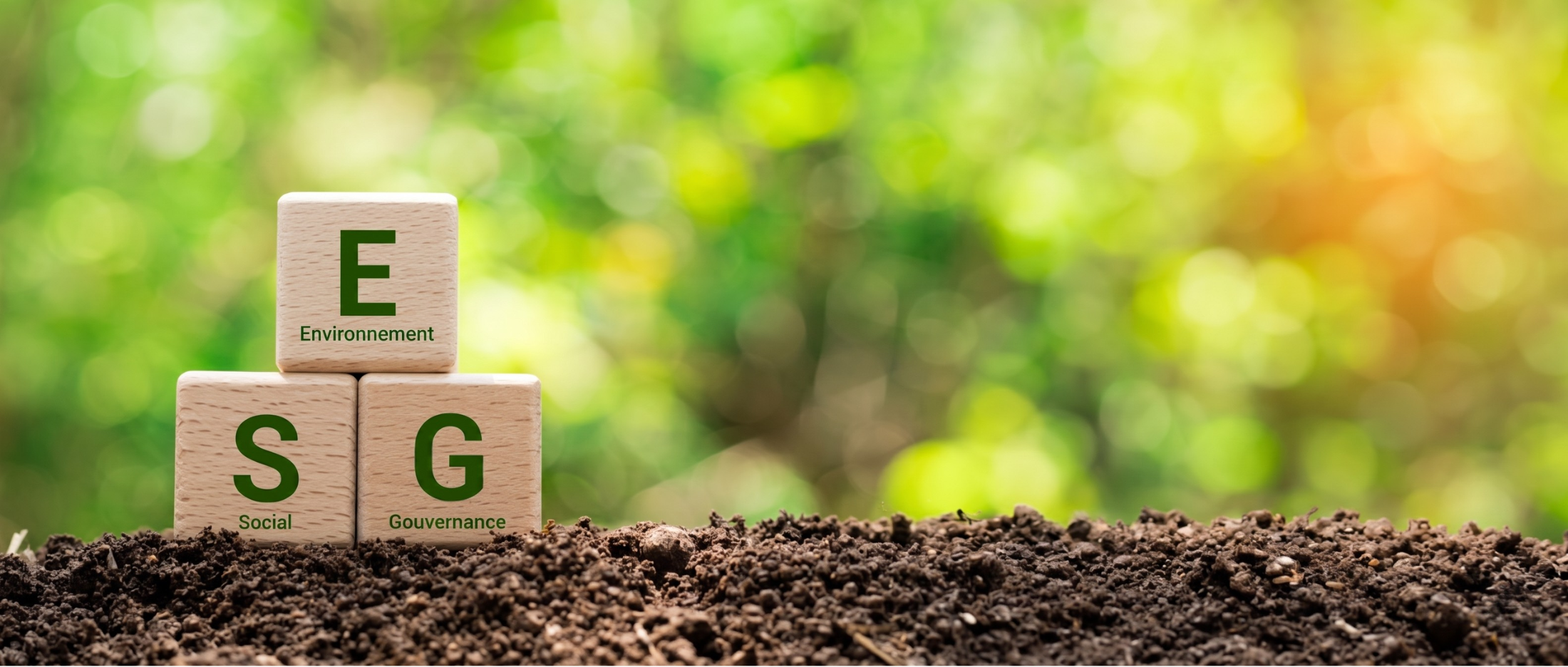 French Environnement, social et gouvernance