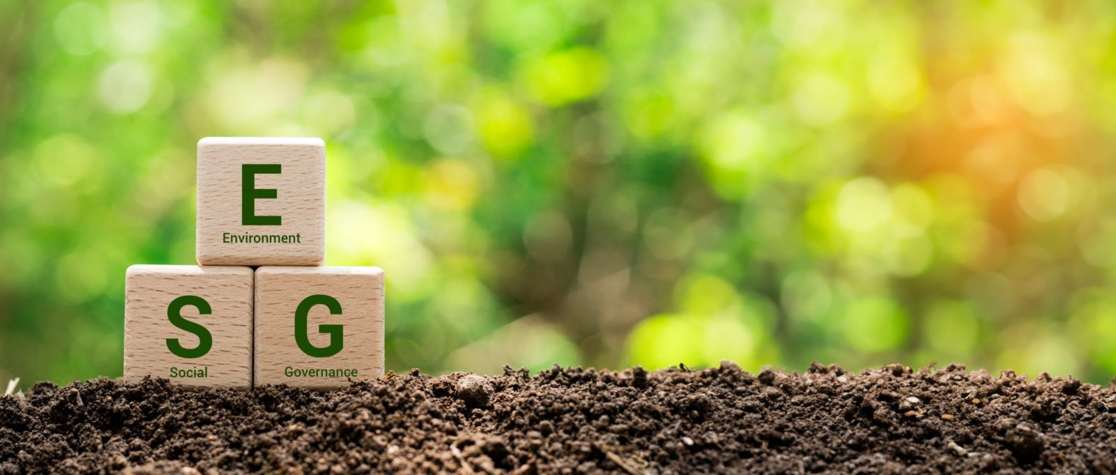  US English Environment social governance