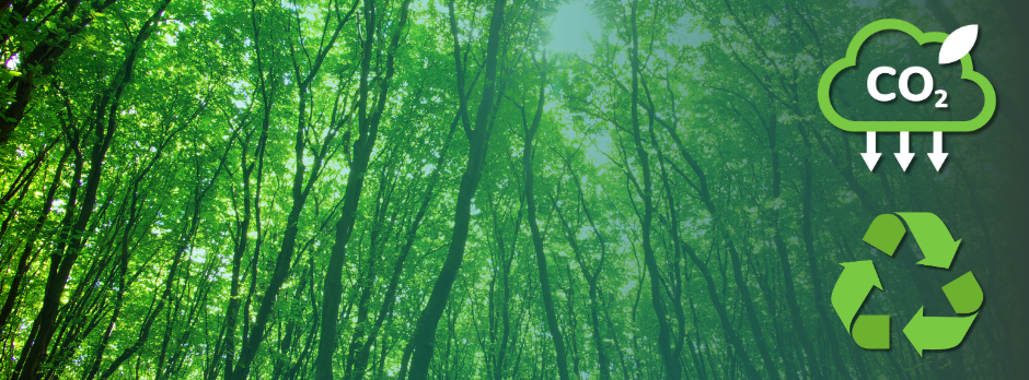 Forest with carbon footprint reduction and recycling symbol