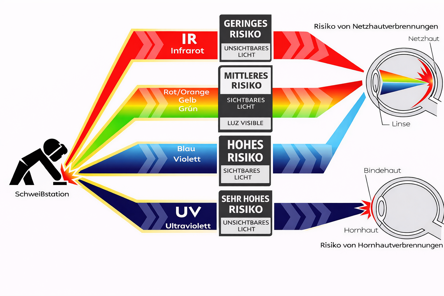 Infografik zu den Risiken verschiedener Lichtspektren beim Schweißen für das menschliche Auge.