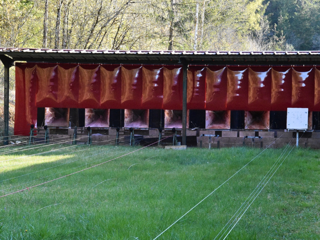 Outdoor shooting range with red safety curtains and multiple target lanes.