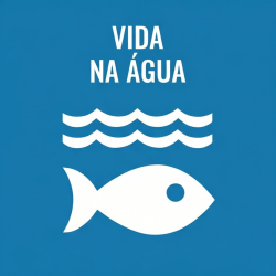  Brazilian Portuguese Vida na água