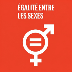  French Égalité entre les sexes