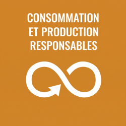  French Consommation et production responsables