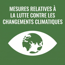  French Mesures relatives à la lutte contre les changements climatiques