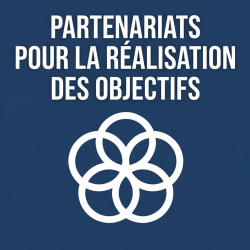  French Partenariats pour la réalisation des objectifs