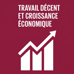  French Travail décent et croissance économique