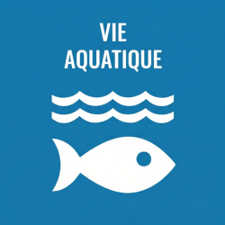  French Vie aquatique