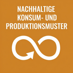  German Nachhaltige Konsum- und Produktionsmuster