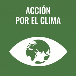  Spanish Acción por el clima