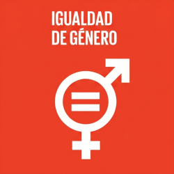  Spanish Igualdad de género