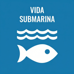  Spanish Vida submarina