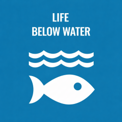  US English Life below water