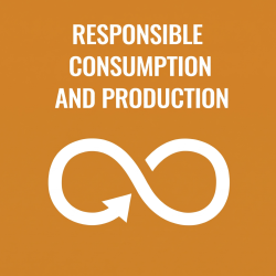  US English Responsible consumption and production